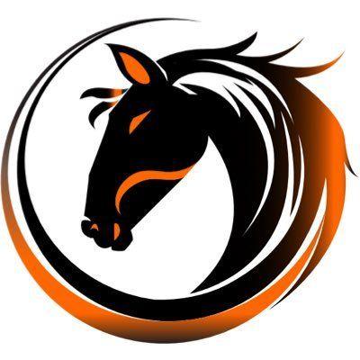 Ponygamer Logo - Black Pony Gaming on Twitter: 