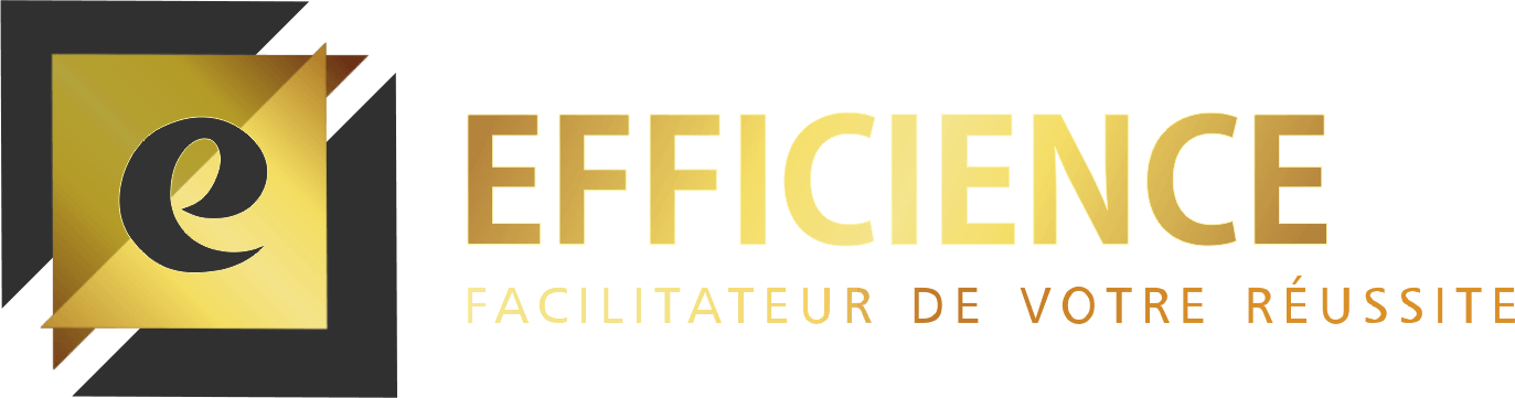 Efficience3 Logo - EFFICIENCE. FACILITATEUR DE VOTRE RÉUSSITE ! MERE FRANCE