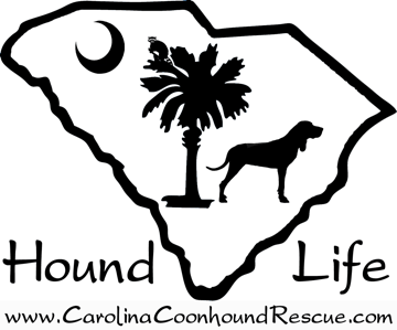 Coonhound Logo - Petstablished | Carolina Coonhound Rescue has pets for adopt.