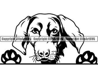 Coonhound Logo - Coonhound svg