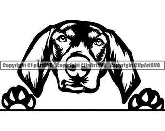 Coonhound Logo - Coonhound svg | Etsy