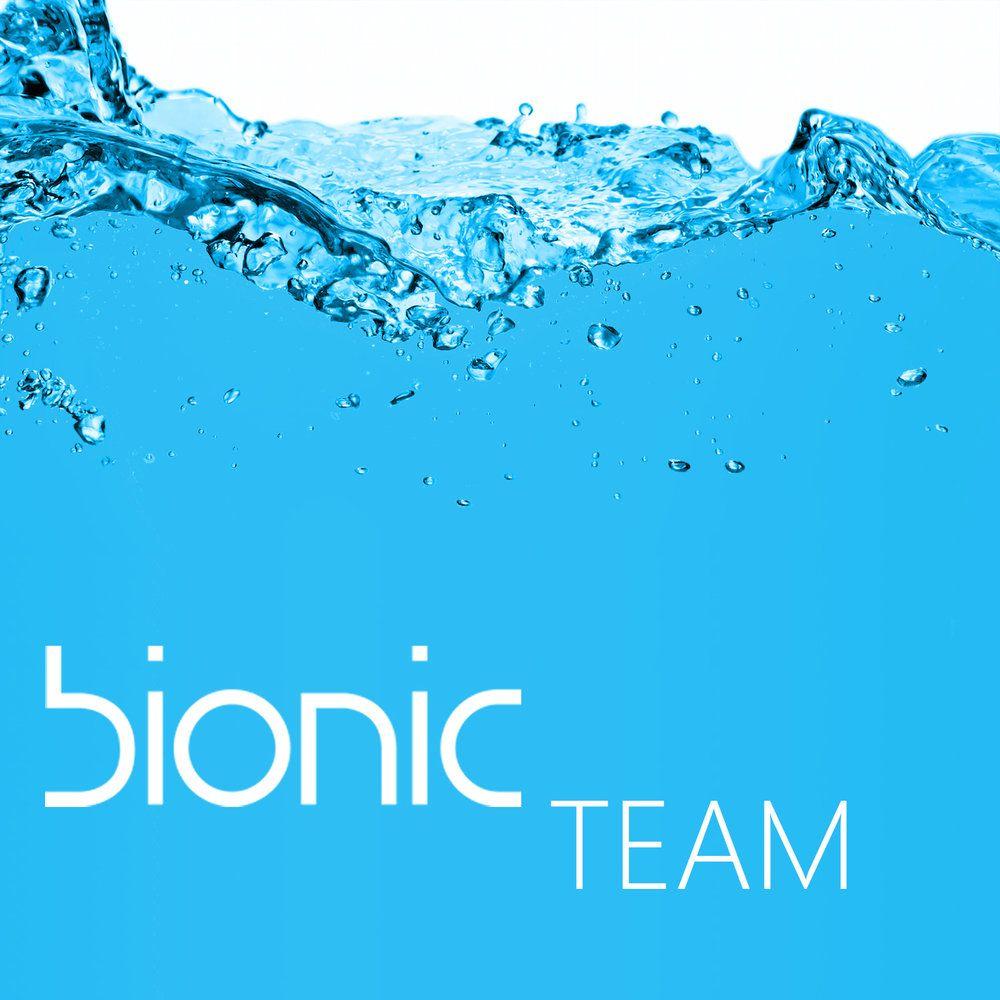 Bionic Logo - Bionic Team — Bay Area: Resilient By Design Challenge