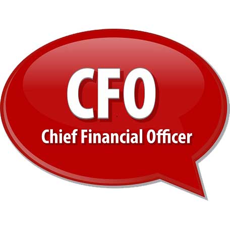 CFO Logo - What It Takes to Become a Successful CFO | Arnold Partners