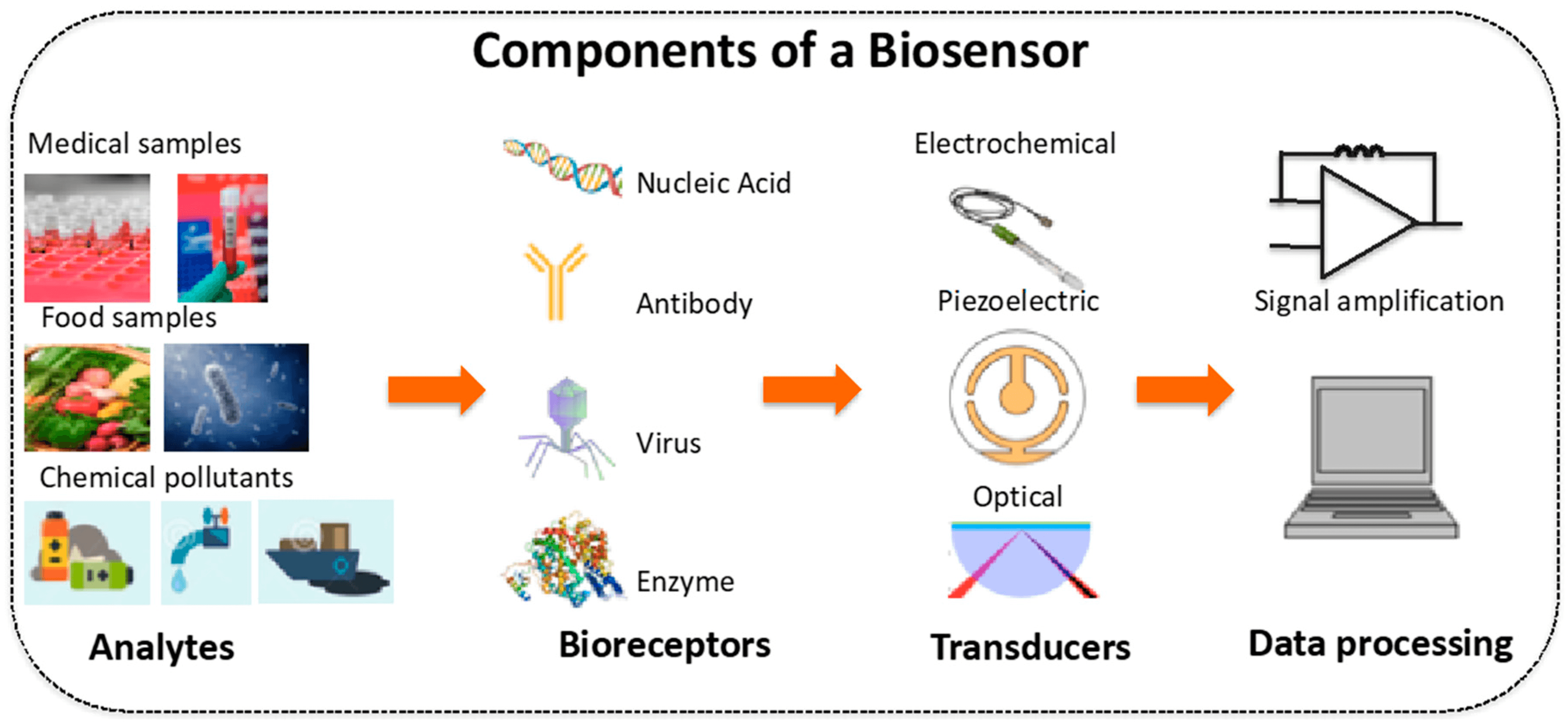 Nanotubes Logo - Sensors. Free Full Text. Non Covalent Functionalization Of Carbon