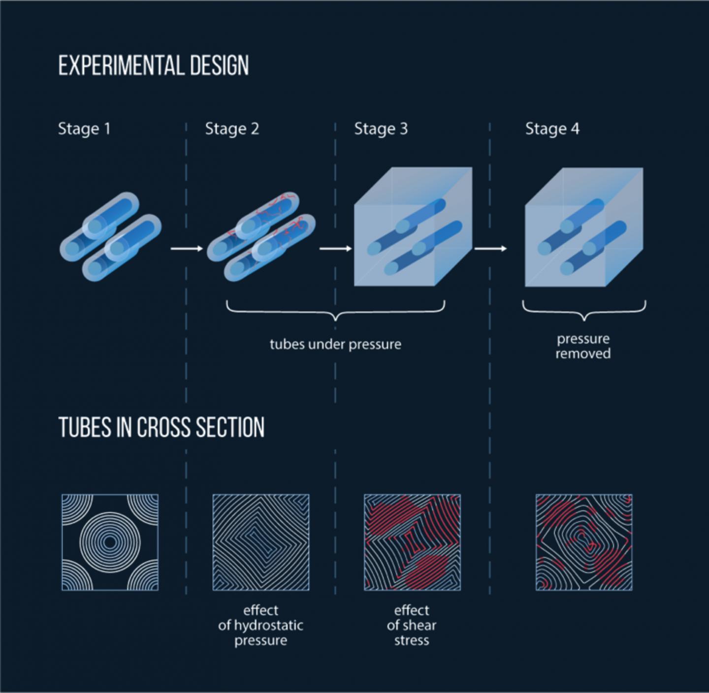 Nanotubes Logo - Pressure Welding' Nanotubes Creates Ultrastrong Material