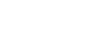 Bugs Logo - Home - Bugs & Bears | Wildlife and Adventure Travel