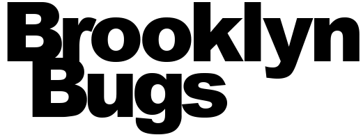 Bugs Logo - Brooklyn Bugs