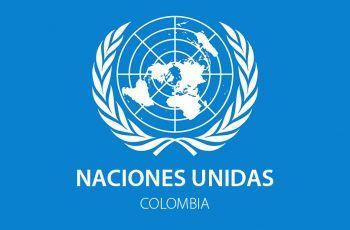 ONU Logo - Fantastico Logo Onu Directorio Naciones Unidas Colombia CINU