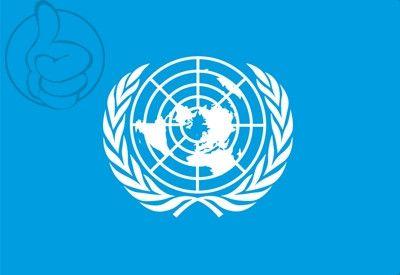 ONU Logo - ONU (United Nations) Flag available to buy - Flagsok.com