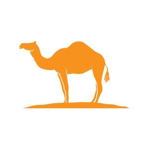 Camel Logo - Camel Logo