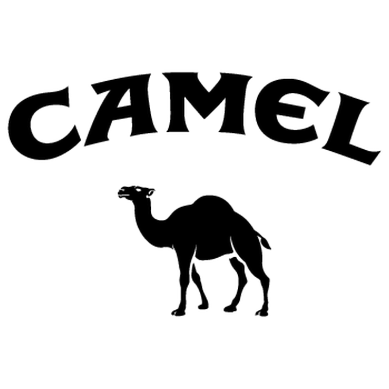 Camel Logo - Camel Logo Decal