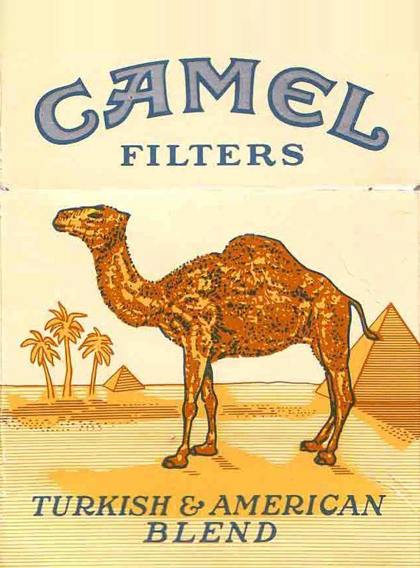 Camel Logo - Camel logo