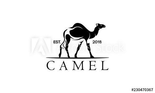 Camel Logo - camel logo design template, vintage camel vector illustration