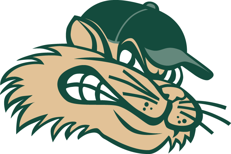 RailCats Logo - Gary SouthShore RailCats Partial Logo Association 2006