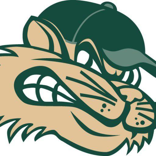 RailCats Logo - Gary SouthShore RailCats