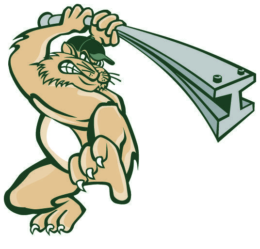 RailCats Logo - Gary SouthShore RailCats embrace independent baseball | www ...