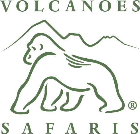 Volcanoes Logo - Luxury Lodges. Safaris. Chimp & Gorilla trekking