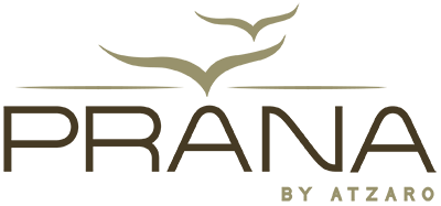 Pranana Logo - Prana by Atzaro