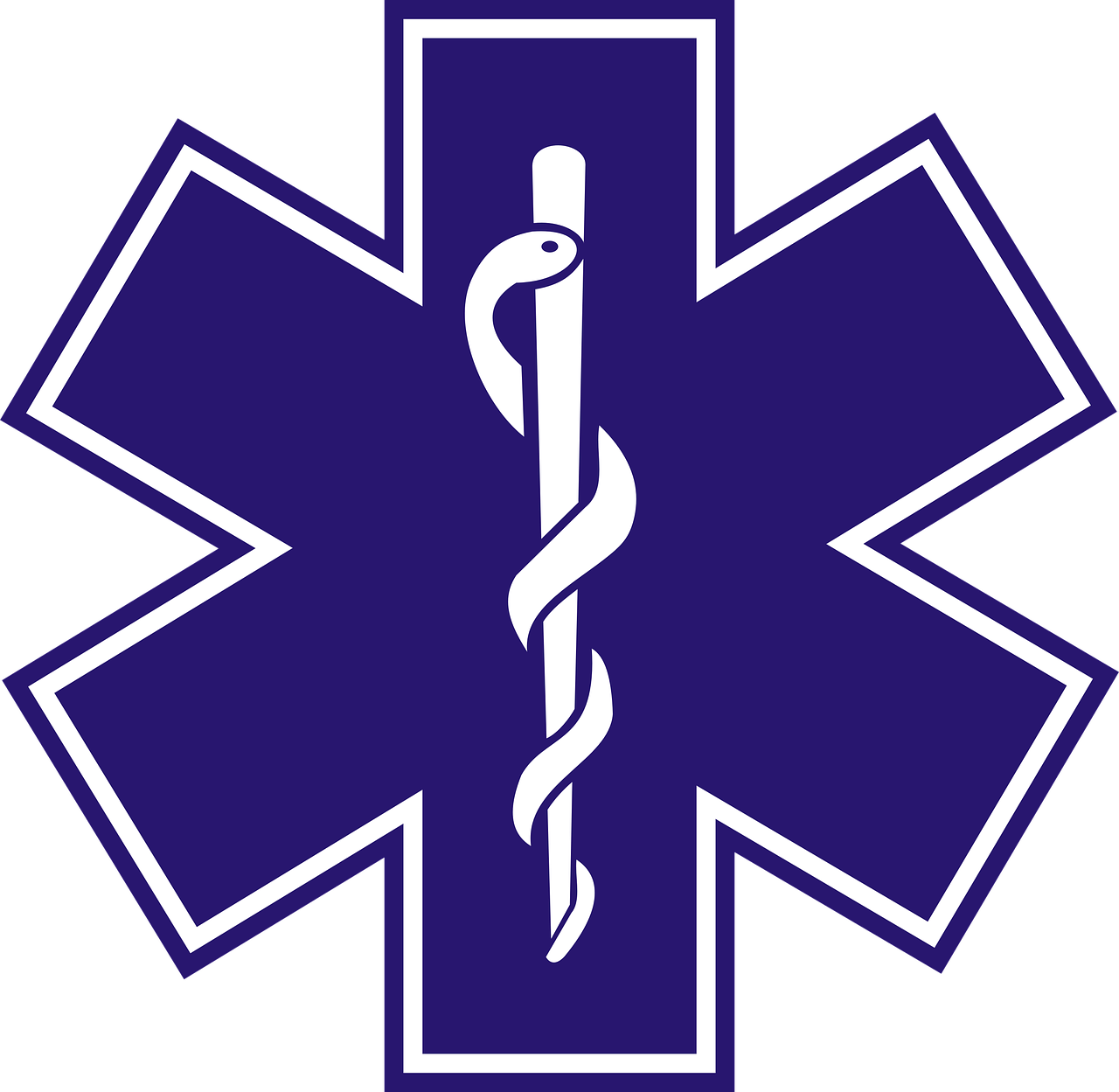 Paramedic Logo - Symbol Paramedic transparent PNG