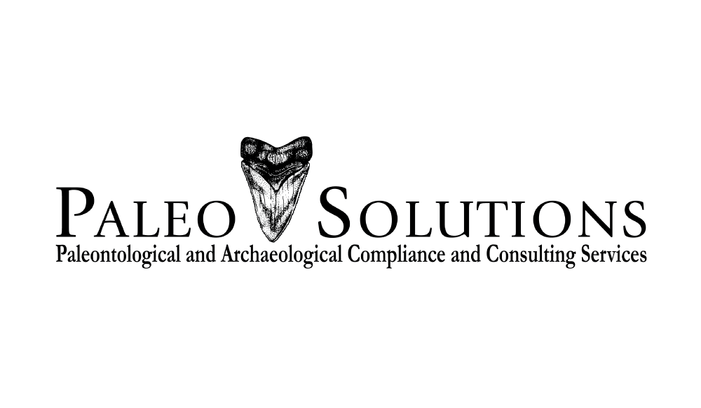 Paleo Logo - Paleo Solutions Logo - Design By Dooley