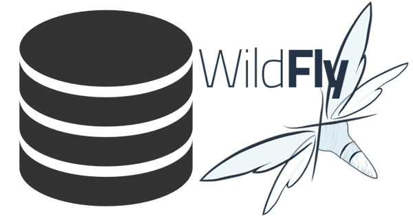 Data-Source Logo - How to configure Wildfly datasource to support MySQL