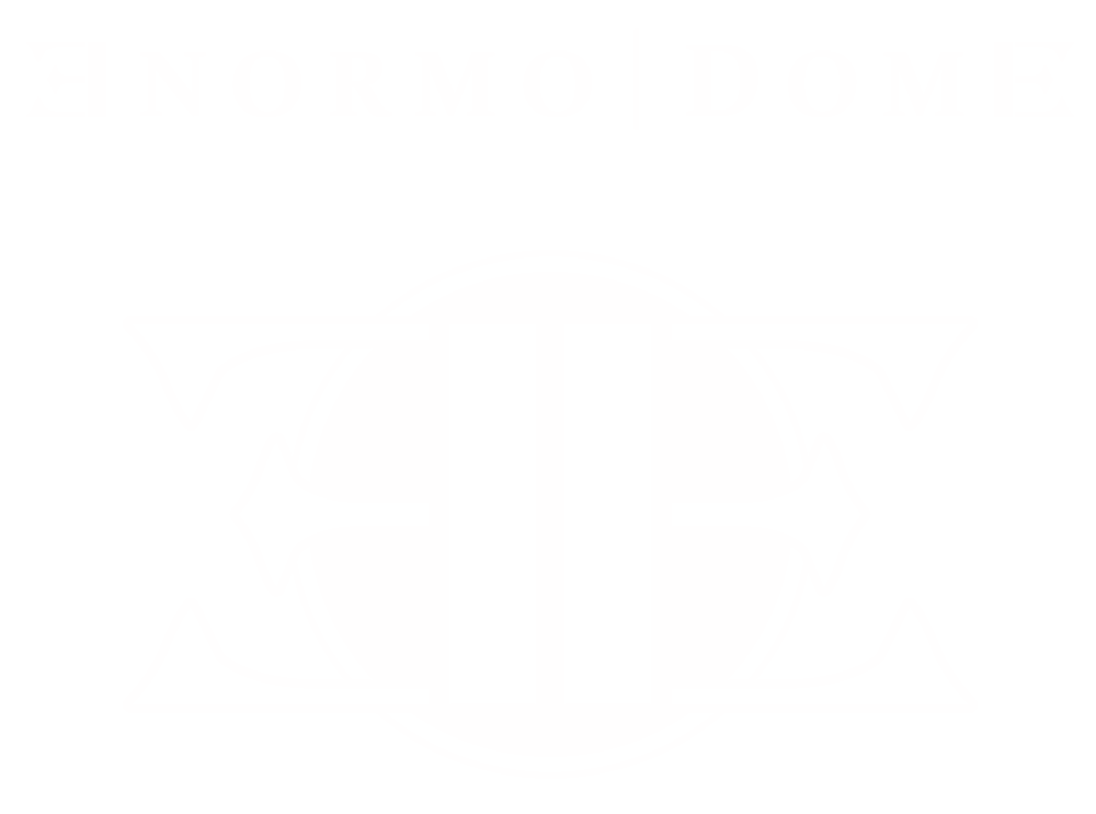 Enormo Logo - ENORMO|DOME T-shirt