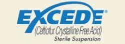 Excede Logo - AEC Client Education - Excede