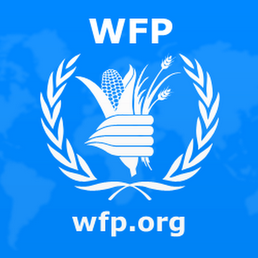 WFP Logo - WFP logo - The Data School