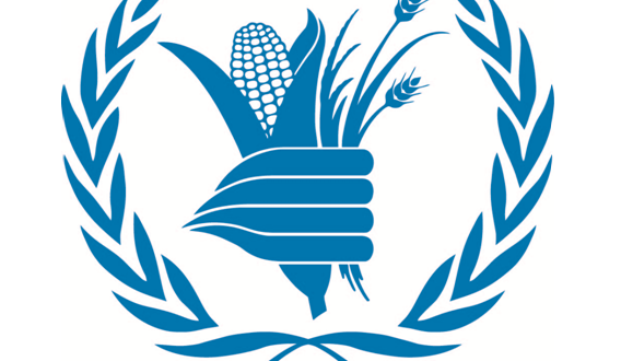 WFP Logo - Food Production in Ejura Improves through WFP-Assisted Warehousing