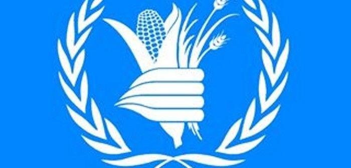 WFP Logo - WFP extends food assistance in eastern Ukraine throughout 2017 ...