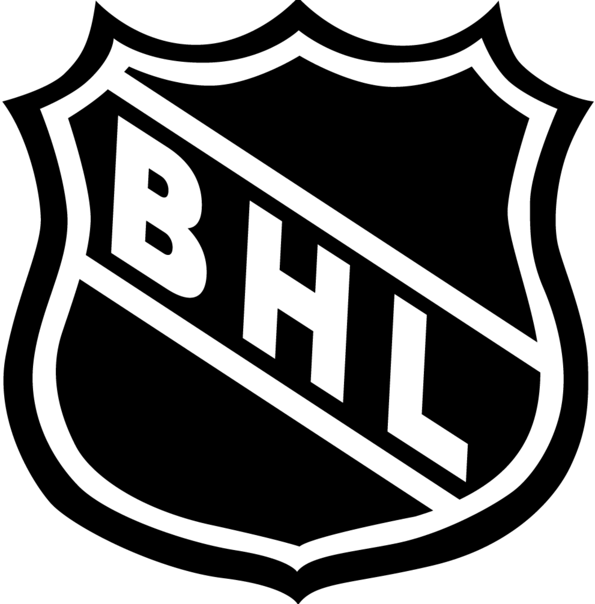 Bhl Logo - Cropped BHL Official Logo 5.png