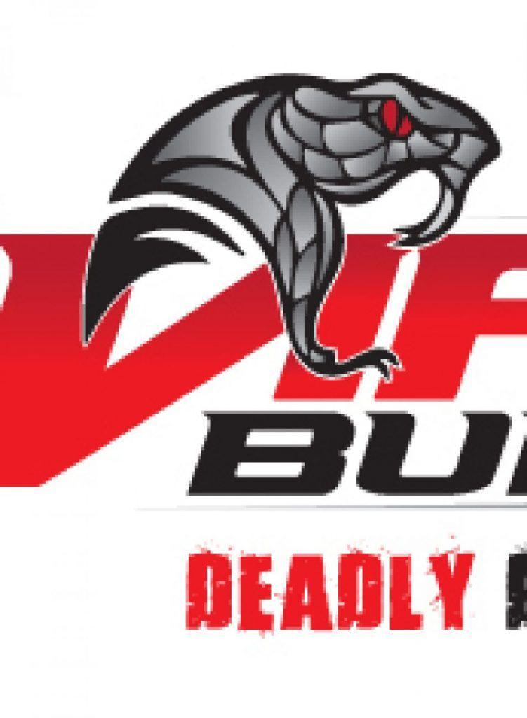 Bullets Logo - Cropped VIPER Bullets