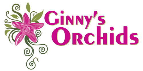 Ginny's Logo - Ginny's Orchids. Handmade Arrangements In Winter Park, Florida