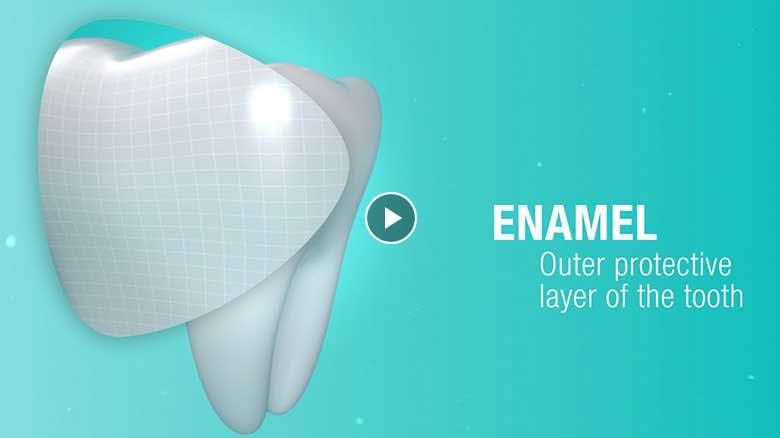 Pronamel Logo - Tooth Enamel and Acid Erosion Protection. Pronamel® Toothpaste