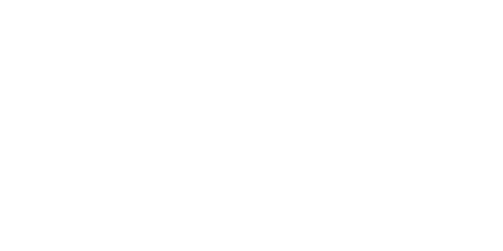DW Logo - Deutsche Welle - W12 - A TCS Interactive Design Studio
