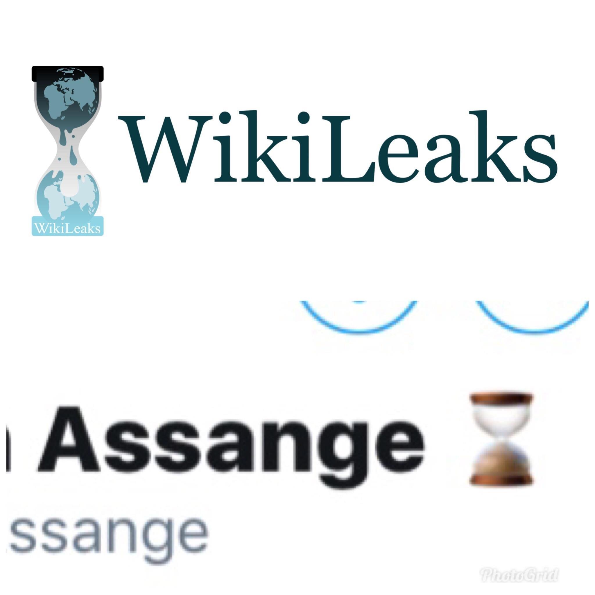 WikiLeaks Logo LogoDix