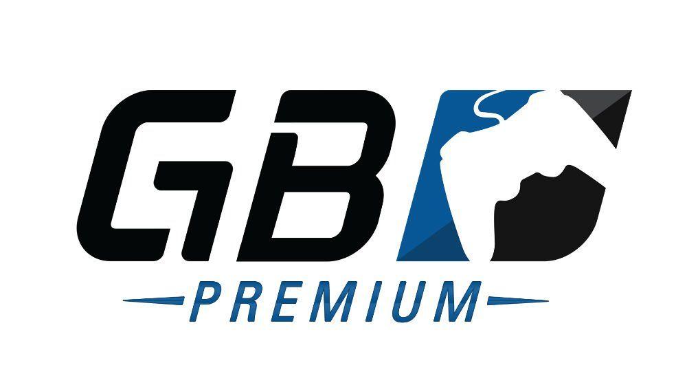 GameBattles Logo - Gamebattles Logos