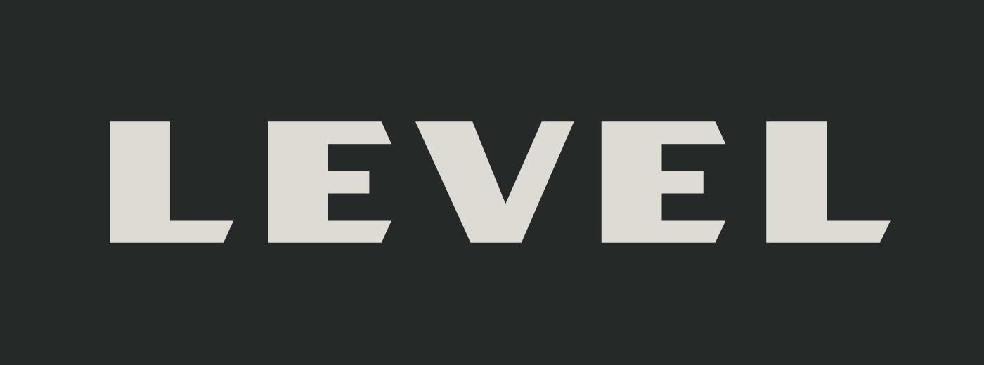 Level Logo - LEVEL Mpls | A Minneapolis Creative Advertising Agency