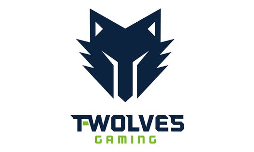 Level Logo - New T-Wolves Gaming franchise logo unveiled - StarTribune.com