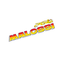 Malossi Logo - Malossi, download Malossi - Vector Logos, Brand logo, Company logo