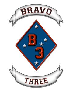 Three Logo - Logo and Name - Bravo Three
