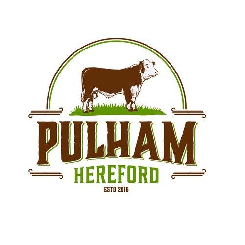 Hereford Logo - Create a professional logo for our award winning cattle herd. Logo