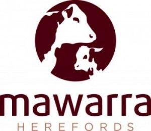 Hereford Logo - Mawarra Hereford Logo 15644_600 E1458468044193