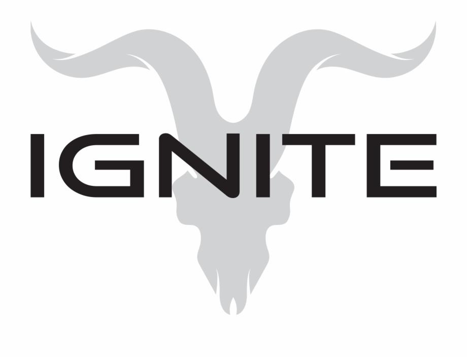 Ignite Logo - Introducing Ignite Distribution, Llc Bilzerian Ignite Logo