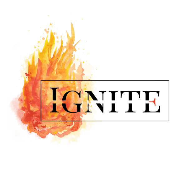 Ignite Logo - Ingite - The Flame Withing - iampoppy logo design