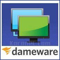 DameWare Logo - Dameware Mini Remote Portable. 2019 01 12
