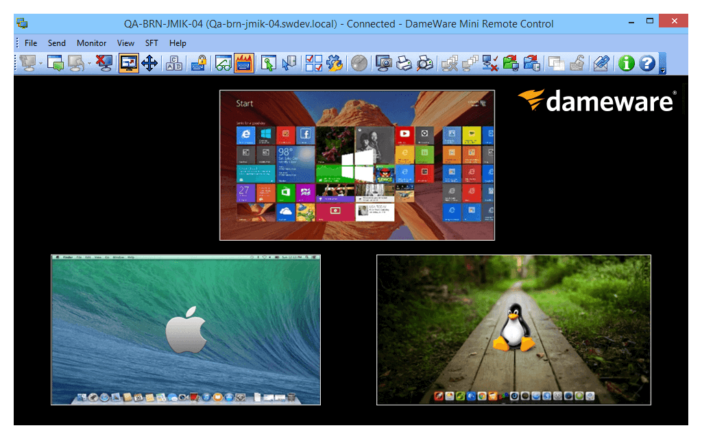 DameWare Logo - Remote Control Software Desktop Tool