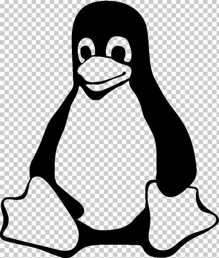 Tux Logo - Tux Linux Ubuntu Logo Computer Icon PNG, Clipart, Beak, Bird, Black