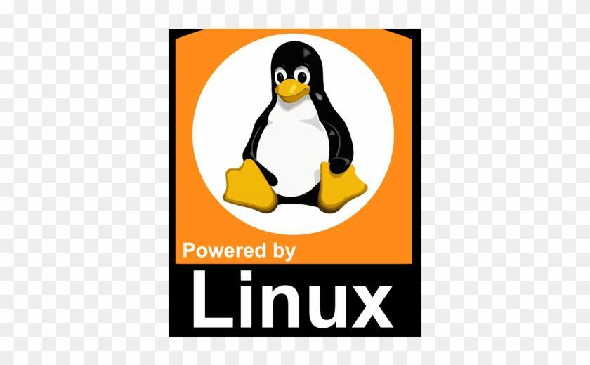 Tux Logo - Logo Tux Linux Penguin, HD Png Download