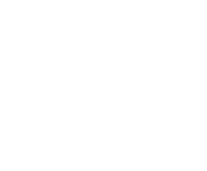 RAF Logo - Home - Recreational Aviation Foundation